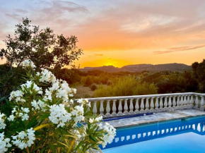 Mas provençal dans les Alpilles